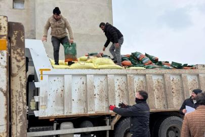 Demirözü’nde 210 çiftçiye tarımsal destek sağlandı