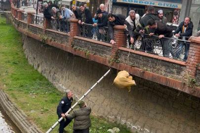 Dere yatağında mahsur kalan köpek itfaiye ve vatandaşın yardımıyla kurtarıldı