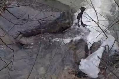 Dereli’de derede mahsur kalan köpek belediye ekiplerince kurtarıldı