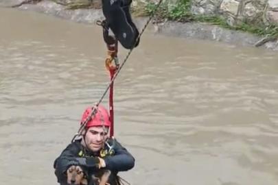 Dereye düşen köpek itfaiye tarafından kurtarıldı