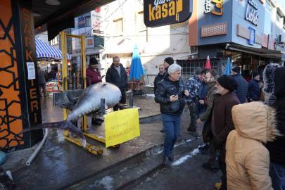Dev Orkinos Erzincan’da olay oldu! Tezgâh önünde fotoğraf yarışı