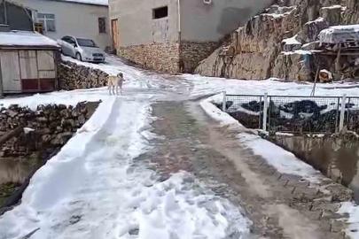 Develi’de mahalleli köprüye korkuluk istiyor