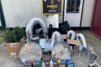 Didim’de uyuşturucu operasyonu: Kenevir yetiştirme kabini ele geçirildi