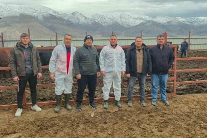 Dinar’da ithal hayvan besiciliği yapılan işletmelere yönelik denetim