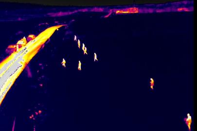 Diyarbakır’da kayıp kadın termal kamera ve dronlarla aranıyor