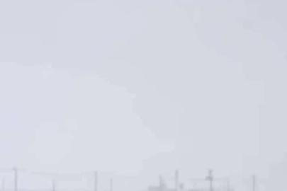 Diyarbakır’da kurtlar yerleşim yerlerine indi