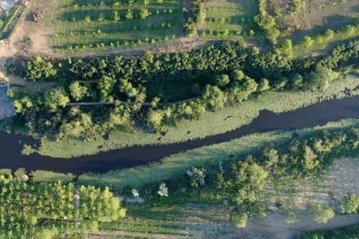 Doğanın kalbi Sakarya’da attı: İki yeşil noktaya 605 bin ziyaretçi