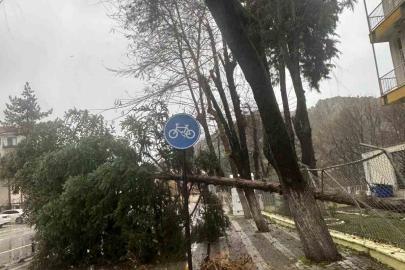 Dursunbey’de fırtına ağaçları ve çatıları uçurdu