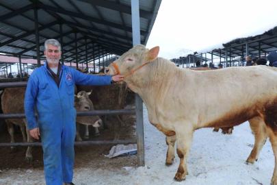 Eksi 15’de hayvan pazarı kuruldu