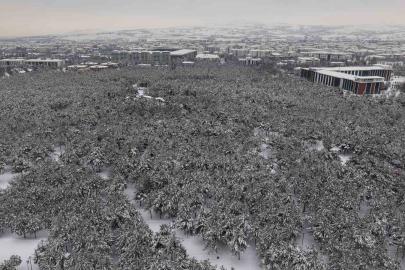 Elazığ’da beton yığınlarının arasındaki beyaz vaha mest etti