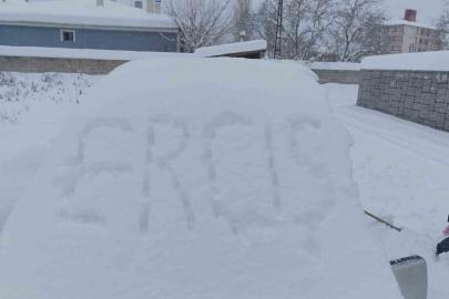 Erciş’te yoğun kar yağışı hayatı felç etti