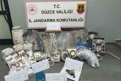 Evinin çatısına kenevir bahçesi kuran 1 şahıs yakalandı