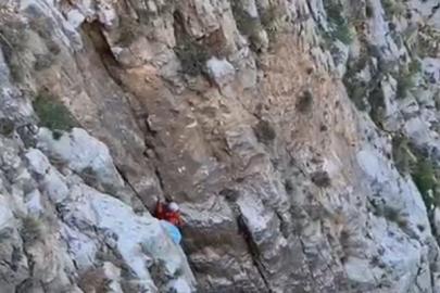 Fethiye’de kayalıklarda mahsur kalan keçi kurtarıldı