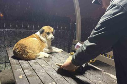 Gazetecilerden duyarlı davranış