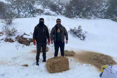 Gaziantep’te karlı havada aç kalan yaban hayvanları için doğaya yem bırakıldı