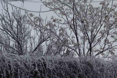 Gercüş beyaz örtüyle kaplandı