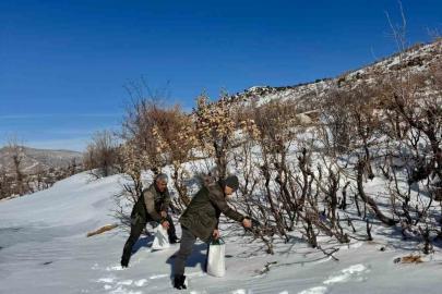 Gercüş’te orman ekibi doğadaki canlıları yalnız bırakmadı