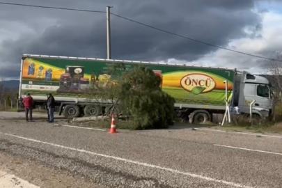 Gönen-Bandırma yolunda kontrolden çıkan tır şarampole savruldu