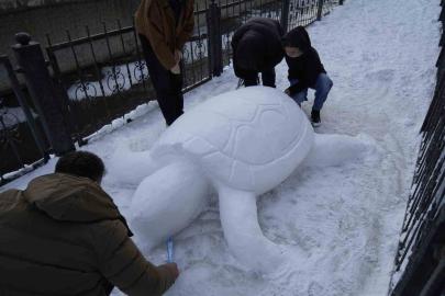 Gümüşhane’de "kardan kaplumbağa" ilgi odağı oldu
