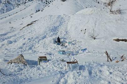 Hakkari’de 32 arı kovanı çığ altında kaldı