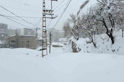 Hakkari’de 89 yerleşim yerinin yolu kapandı