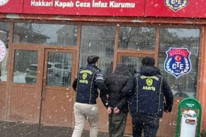 Hakkari’de uyuşturucu ve hırsızlık operasyonu