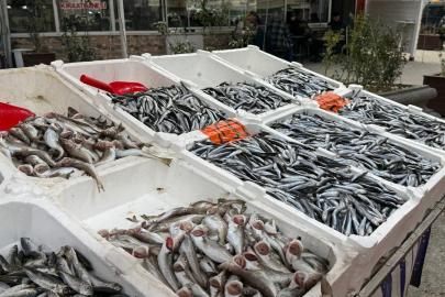 Hamsi yeniden tezgahlarda, 200 liradan alıcı buluyor