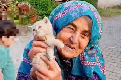 Hatice Teyze’nin yavru kedi sevgisi yürekleri ısıttı
