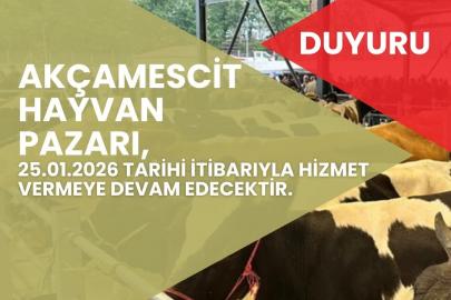 Hayvan pazarı 4 ay sonra yeniden hizmete açılacak