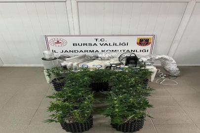 İnegöl’de uyuşturucu operasyonu: Evde esrar üretim düzeneği ele geçirildi