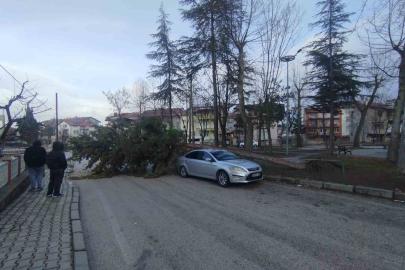 Isparta’da fırtına ağacı kökünden söküp park halindeki aracın üzerine devirdi