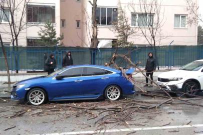 Isparta’da fırtına ağaçları devirdi, araçlar hasar gördü