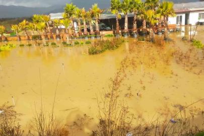 İzmir sağanağa teslim: Yollar ve tarım arazileri sular altında