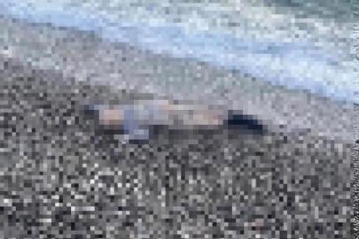 İzmir’de deniz kıyısında çocuk cesedi