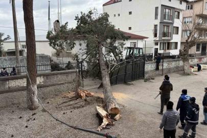 İznik’te okulların tatil olması faciayı önledi..Dev ağaç okul bahçesine devrildi