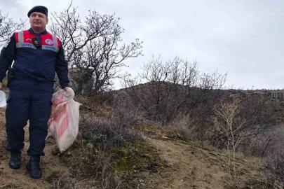 Jandarma ekipleri doğadaki canlıları unutmadı