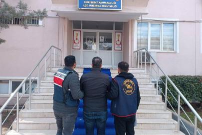 Jandarmadan 1 haftada kapsamlı operasyon: 297 şüpheli yakalandı, 94’ü tutuklandı