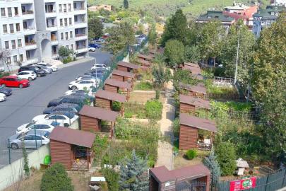 Kağıthane Belediyesi 2026 Hobi Bahçeleri için başvuruları başlattı