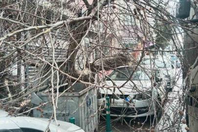 Kamyon çarptı, çınar ağacı araçların üzerine devrildi