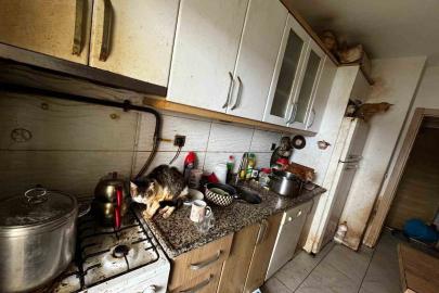 Kapı açılınca karşılaşılan manzara şoke etti