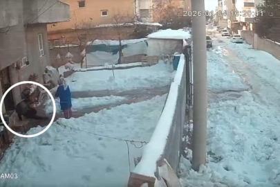 Kapıdan çıkan yerde kaldı: Evden çıkan herkes buzda kaydı