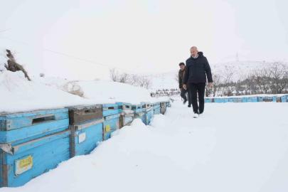 Kar yağışı, koloni kayıplarını ve hastalıkları minimuma indirdi: Arıcılar sezonundan ümitli