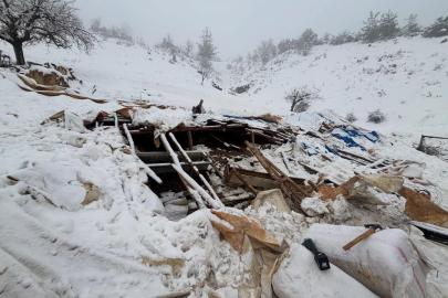 Karaman’da karın ağırlığına dayanamayan ahırın çatısı çöktü