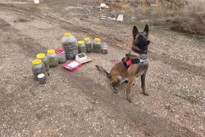 Karaman’da uyuşturucu operasyonu: 1 gözaltı