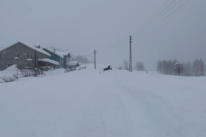 Karın tadını çıkarmak için İstanbul’dan Sivas’a akın ettiler