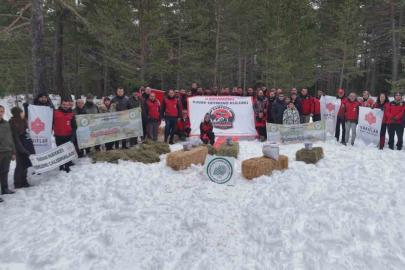 Kastamonu’da karla kaplanan ormanlara yaban hayvanları için yiyecek bırakıldı