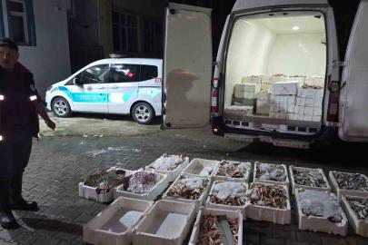 Kastamonu’da yasa dışı avlanan 1,5 ton balığa el konuldu