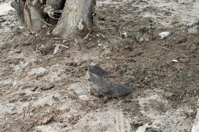 Kayganlaşan yolda kontrolden çıkan motosiklet ağaca çarptı: Kurye hayatını kaybetti