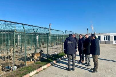 Kaymakam Özderin, Pınarhisar Geçici Hayvan Bakım ve Gözlem Merkezi’nde incelemelerde bulundu