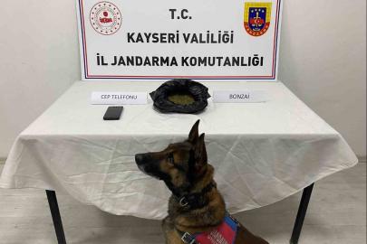 Kayseri’de uyuşturucu operasyonu: 1 gözaltı